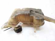 Ausgleichsbehälter Renault Scenic, II 2003.06 - 2006.06 8200262036,