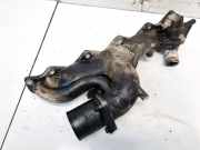 Ansaugkrümmer Hyundai Trajet, 2000.03 - 2008.07 Gebraucht,
