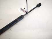 Gasdruckfeder Kofferraum Audi A4, B6 2000.11 - 2004.11 Gebraucht,