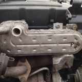 Abgaskühler AGR-Kühler Chrysler Sebring, III 2007.05 - 2010.12 03g131513,