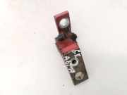 Türscharnier Hinten Volkswagen Passat, B5 1996.08 - 2000.11 Gebraucht , AFN