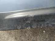 Zierleiste T?r Zier-Schutzleiste - Hinten Rechts Hyundai Santa Fe, 2006.03 - 2012.09 Gebraucht,