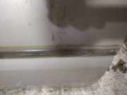 Zierleiste Tür Zier-Schutzleiste - Vorne Rechts Fiat Ulysse, I 1994.01 - 2002.06 Gebraucht,