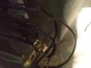 T?rfangband T?rbremse T?rstopper - Vorne Rechts Volkswagen Passat, B3 1988.03 - 1993.07 Gebraucht, 1Y