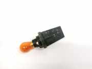 Glühbirnenfassung Blinker Renault Scenic, II 2003.06 - 2006.06 Gebraucht,