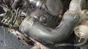 Intercooler Schlauch Volkswagen Sharan, 7M 1995.09 - 2000.04 Gebraucht, AFN