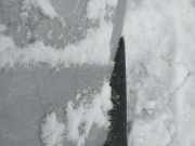 Schmutzfänger - Hinten Rechts Nissan Almera Tino 2000.08 - 2003.09 Gebraucht,