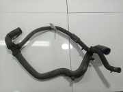 Kühlerschlauch Renault Scenic, III 2009.02 - 2013.06 Gebraucht,