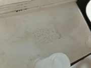 Beh?lter Bremsfl?ssigkeit Toyota Previa, 2000.02 - 2006.01 13231140030,13231140030