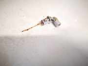 Sensor Innentemperatur BMW 3-Series, E46 2002.06 - 2005.02 facelift 7506681,