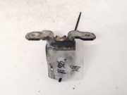 Türscharnier Hinten Renault Vel Satis, 2002.06 - 2009.12 Gebraucht,