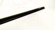 Zierleiste Leiste - Vorne Rechts Renault Scenic, II 2003.06 - 2006.06 Gebraucht,