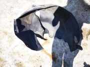 Radhausschale - Hinten Rechts Opel Astra, J 2009.12 - 2015.06 13279487, 13279489