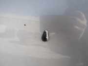 Waschwasserdüse Scheibenreinigung Rover 200, 1995.10 - 2000.03 Gebraucht,