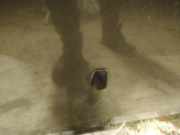 Waschwasserdüse Scheibenreinigung Mazda 5, CR 2005.02 - 2010.09 Gebraucht ,