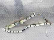 Kopfairbag - Vorne Linke Mazda 5, CR 2005.02 - 2010.09 Gebraucht,