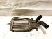 Ladeluftkühler Opel Astra, G 1998.09 - 2004.12 09129519DX,