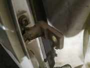 Türscharnier Hinten Audi A4, B7 2004.11 - 2008.06 Gebraucht ,