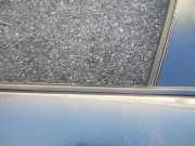 Zierleiste Leiste - Vorne Linke Mazda 3, BL 2009.06 - 2013.06 Gebraucht ,