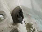 Türfangband Türbremse Türstopper - Vorne Rechts Renault Scenic, III 2009.02 - 2013.06 Gebraucht,