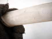 Verschluss Waschwasserbehälter Citroen Xsara, I 1997.04 - 2000.09 9623817180,