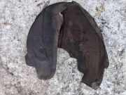 Radhausschale - Hinten Rechts Audi TT, 2006.08 - 2014.06 8J0810172D,Used