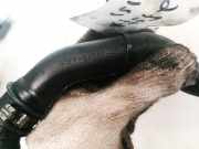 Schlauch für Luftversorgung Ford Focus, 1998.10 - 2002.10 98FF6A886AD, 98FF-6A886-AD