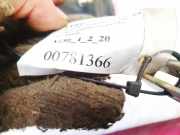 Bremskraftverstärker Renault Laguna, I 1994.01 - 2001.03 Gebraucht,