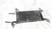 Kraftstoffkühler Kraftstoff Kühler Citroen C4 Grand Picasso, I 2006.01 - 2013.06 Gebraucht,