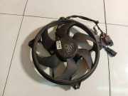 Kühlerlüfter Lüftermotor Citroen C5, II 2008.02 - 2011.01 Gebraucht,