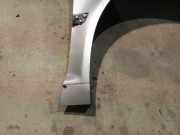 Kotflügel - Vorne Rechts Volkswagen Phaeton, 2002.04 - 2006 Gebraucht , BMK