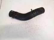 K?hlerschlauch Lexus GS, III 2005.06 - 2007.06 Gebraucht,