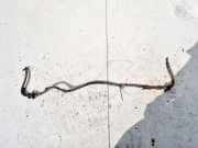 Stabilisator Stabi Hinten Hinterachse Toyota Avensis, I 1997.09 - 2000.10 Gebraucht,