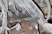 Kraftstoffverteiler Toyota Corolla, 2004.02 - 2007.02 facelift Gebraucht,