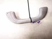 Haltegriff Haltegriff Verdeckgriff - Vorne Linke Hyundai Sonata V (NF) 2005.01 - 2010.12 lh3pa66,