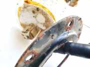 Kraftstoffpumpe Subaru Forester, III 2008.01 - 2012,12 0870,