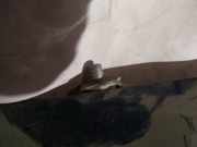 Lang Heckklappe Scharniere Scharnier - Hinten Rechts Toyota Yaris, I (XP10) 1999.04 - 2003.03 Gebraucht,