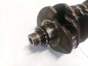 Kurbelwelle Skoda Octavia, II 2004.02 - 2009.03 Gebraucht,