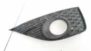 Kühlergrill - Vorne Rechts Seat Ibiza, IV 2008.03 - 2012.06 6J0853666A,