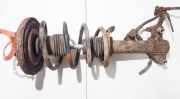 Stoßdämpfer - Vorne Rechts Nissan Primera, P12 2002.01 - 2008.12 Gebraucht,