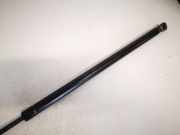 Gasdruckfeder Kofferraum Opel Vectra, C 2002.04 - 2005.10 Gebraucht,