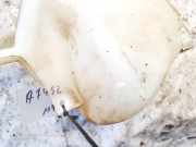 Scheibenwaschbehälter Vorne Wischwasserbehälter Mitsubishi Carisma, I 1995.07 - 2000.09 Gebraucht,