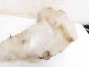 Scheibenwaschbehälter Vorne Wischwasserbehälter Mercedes-Benz W251 2005 - 2011 A2518690520,