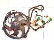 Kühlerlüfter Lüftermotor Peugeot 406, 1999.03 - 2004.05 facelift Gebraucht,