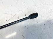 Gasdruckfeder Kofferraum Ford Fiesta, VI 2008.12 - 2012.10 baca406a10ac, bac-a406a10-ac