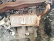 Abgaskühler AGR-Kühler Toyota Avensis, III 2009.02 - 2012.06 256010r020, 13064130000 003651