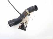 Kühlerschlauch Audi A3, 8L 1996.09 - 2000.10 Gebraucht,