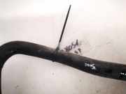 Kühlerschlauch Nissan Primera, P12 2002.01 - 2008.12 21742bv010,