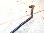 Stabilisator Vorne Nissan Primera, P12 2002.01 - 2008.12 Gebraucht,