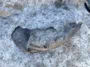 Radhausschale - Hinten Linke Peugeot 4007 2007 - 2012 Gebraucht ,